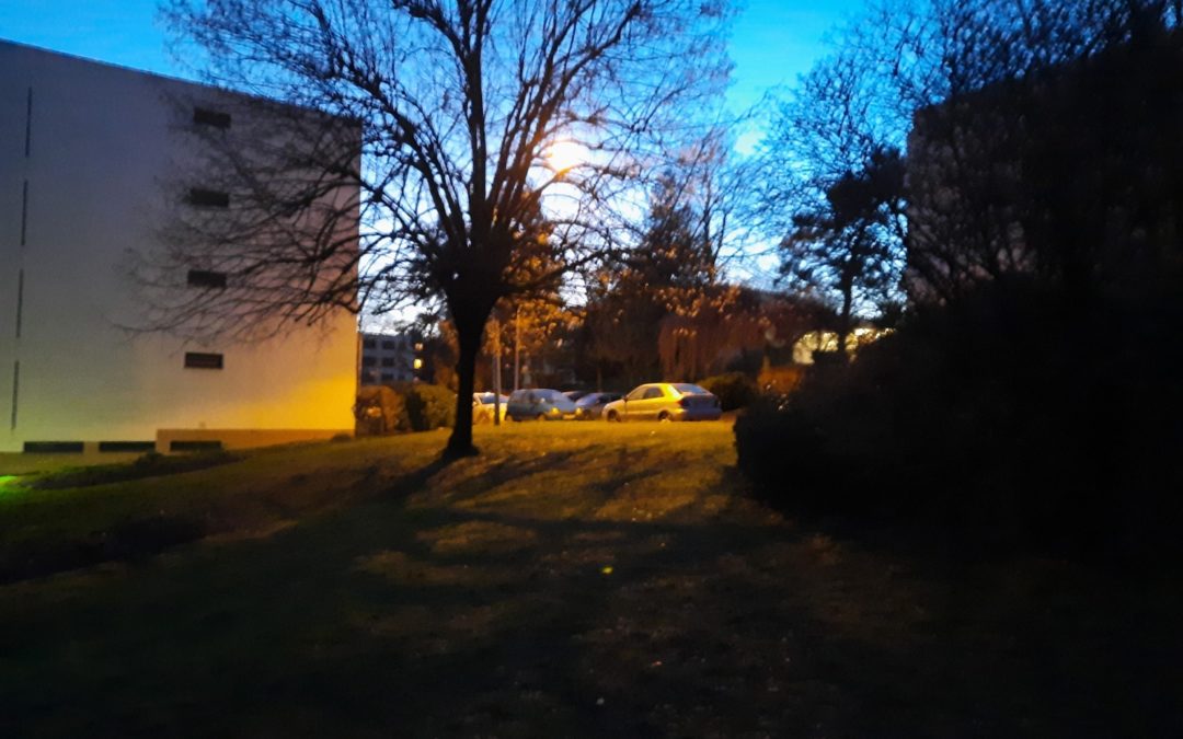 L’ECLAIRAGE DE NOTRE PARC – Avril 2021