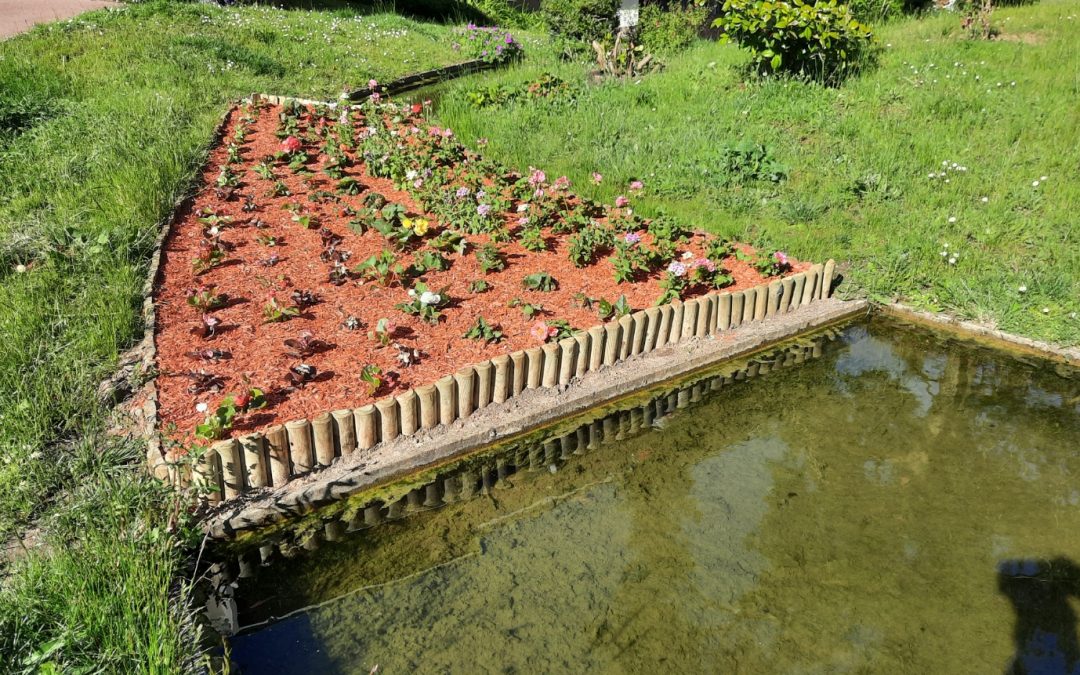 FLEURS ANNUELLES ESTIVALES  : PLANTATIONS EN COURS !