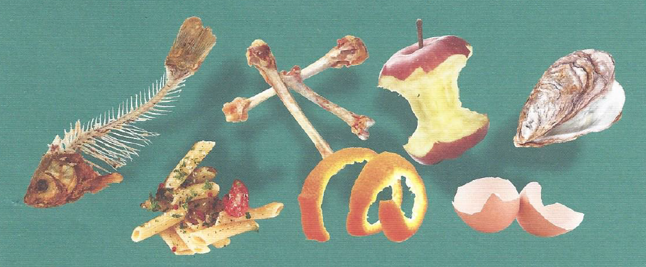 COLLECTE DES BIO-DECHETS