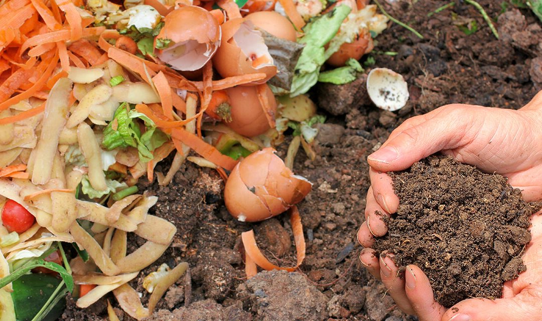 FORMATION GRATUITE AU COMPOSTAGE LE 7 OCTOBRE 2023 : INSCRIVEZ-VOUS VITE !
