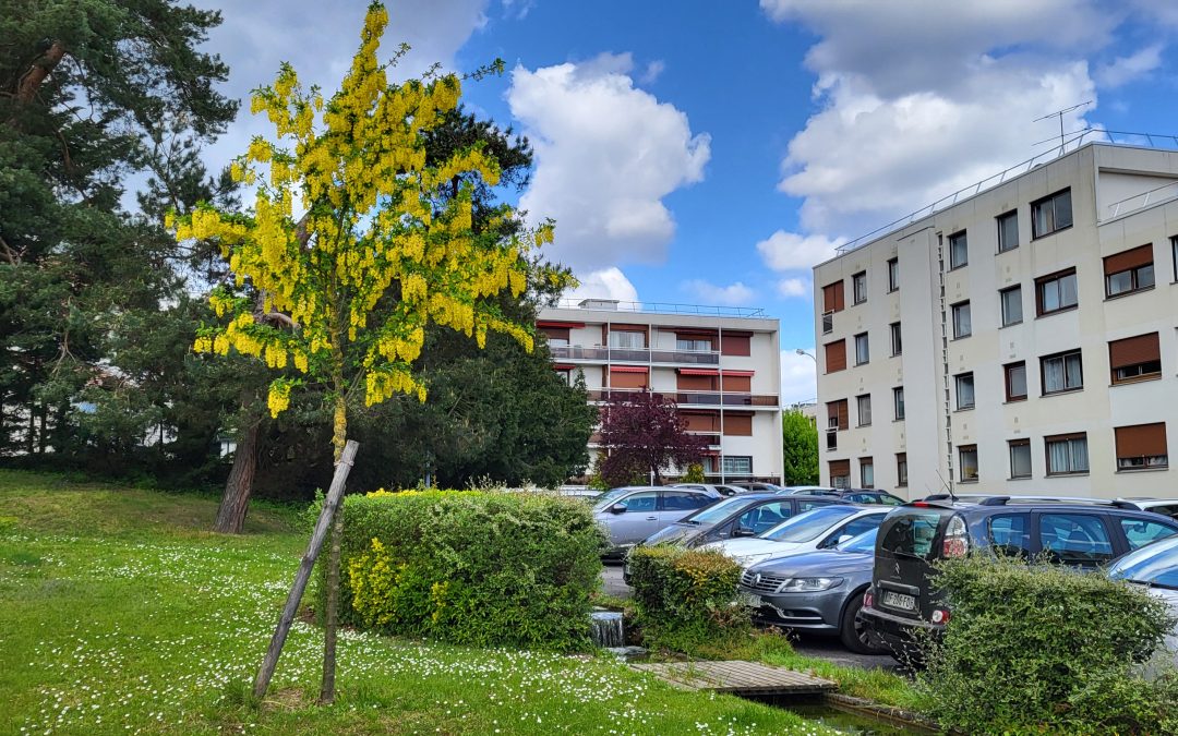 RAPPORT D’ACTIVITE DU CONSEIL SYNDICAL N°21 – MAI 2023/2024