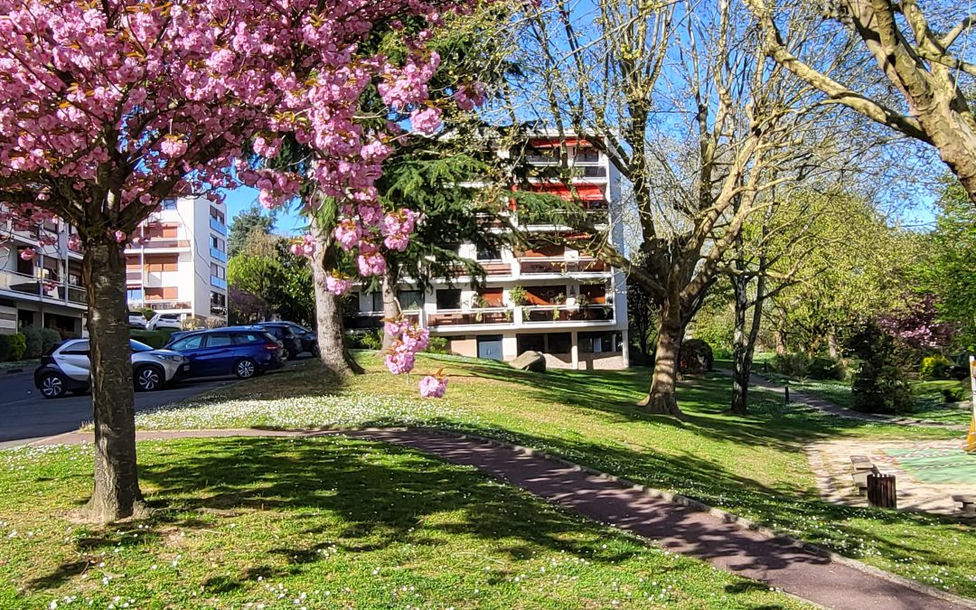 RAPPORT D’ACTIVITE DU CONSEIL SYNDICAL N°23 – MAI 2025/2026